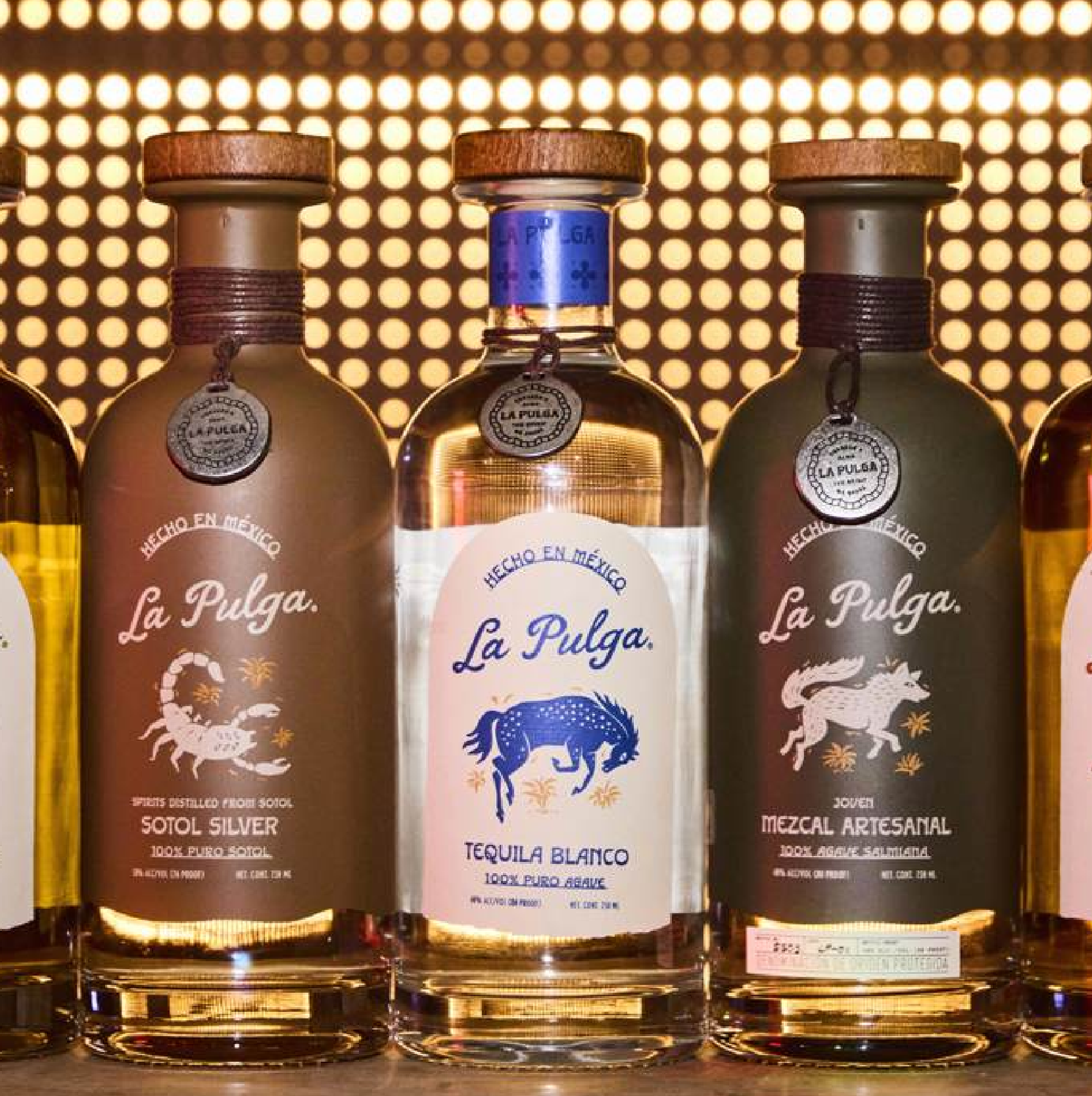 Untitled design 2 e1768324530693 1